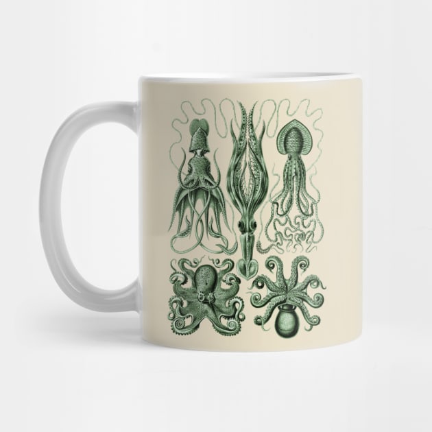 Ernst Haeckel Gamochonia Octopus Green by Scientistudio